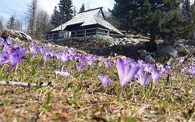 Chalet Pehta Velika Planina